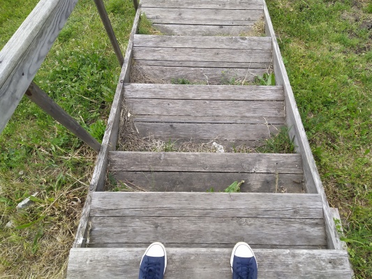 Стадион Авангард - 21.jpg